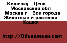 Кошечку › Цена ­ 10 - Московская обл., Москва г., Все города Животные и растения » Кошки   